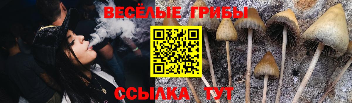 Псилоцибиновые грибы ЛСД  Вход с VPN  Мирный 